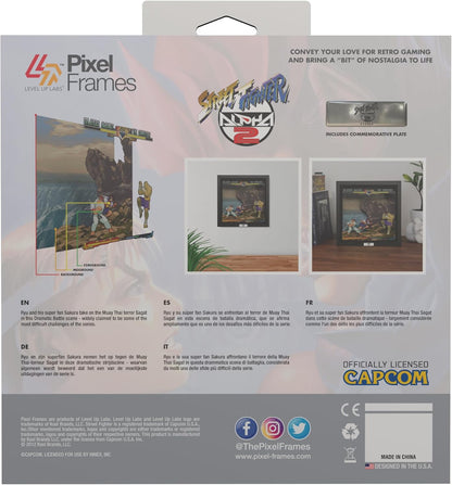 Pixel Frame - Street Fighter Alpha 2