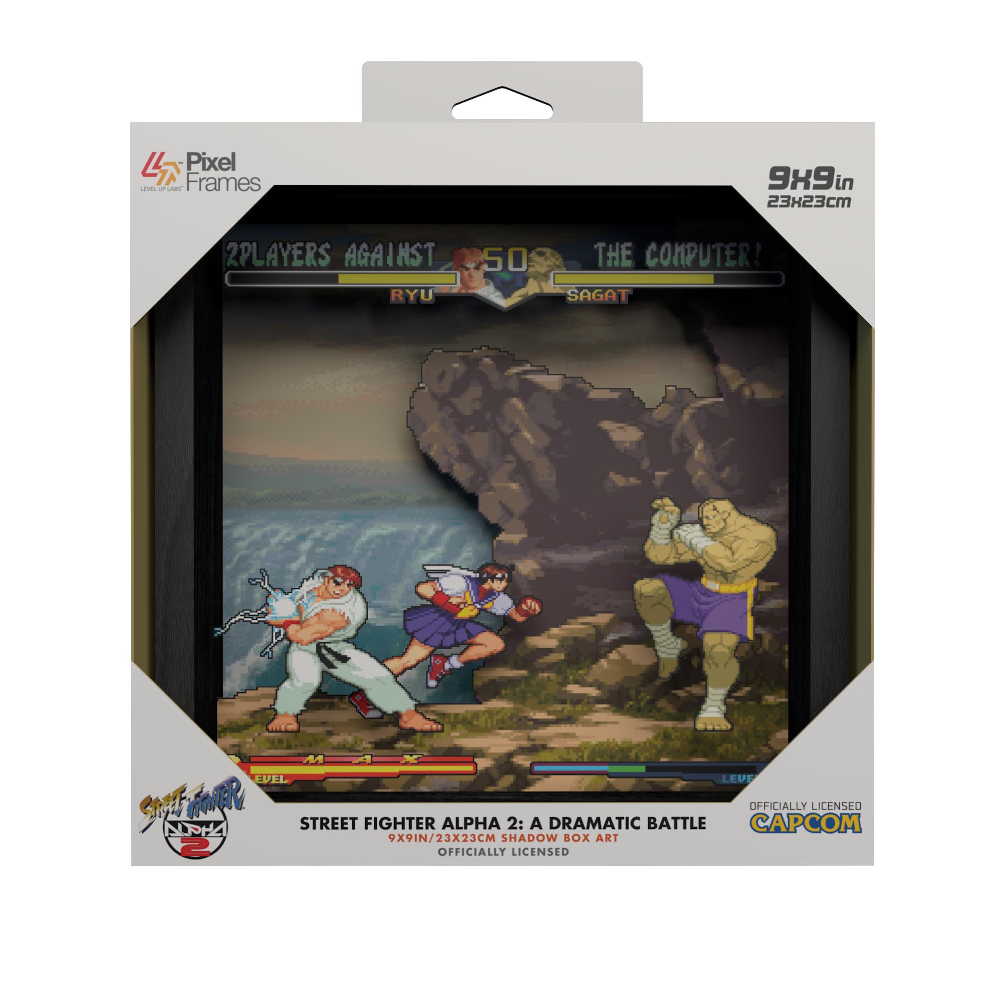 Pixel Frame - Street Fighter Alpha 2