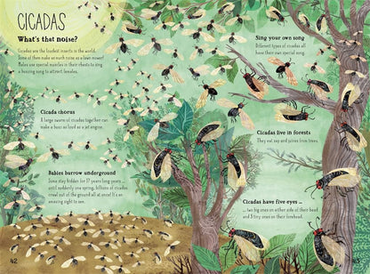 The Big Book of Bugs: 10th Anniversary Edition