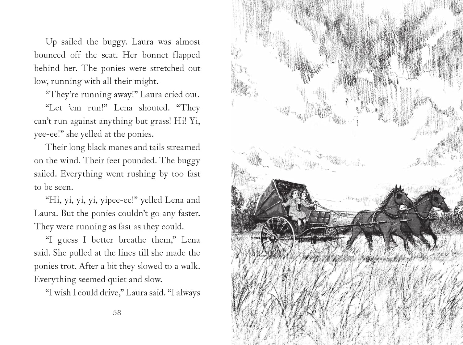 A Little House Chapter Book Collection: Stories of Adventure: Adventures of Laura & Jack, Animal Adventures, Laura & Nellie