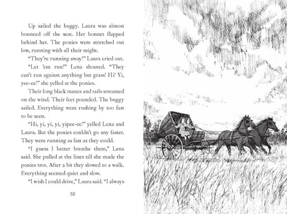 A Little House Chapter Book Collection: Stories of Adventure: Adventures of Laura & Jack, Animal Adventures, Laura & Nellie