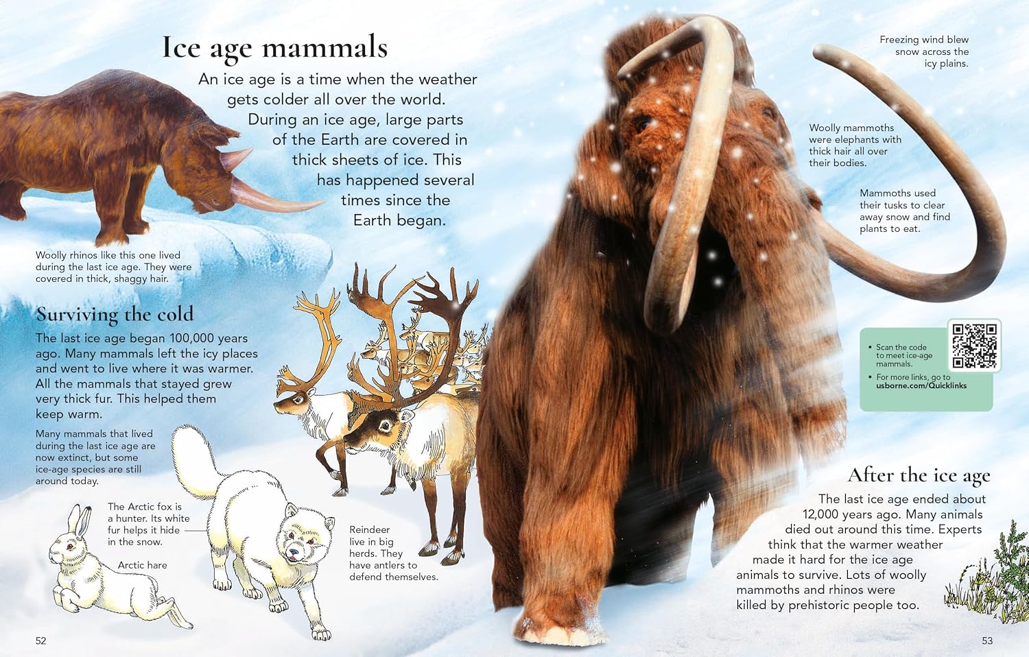 First Encyclopedia of Dinosaurs