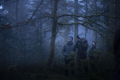 Das Flüstern der Wälder (Blu-ray