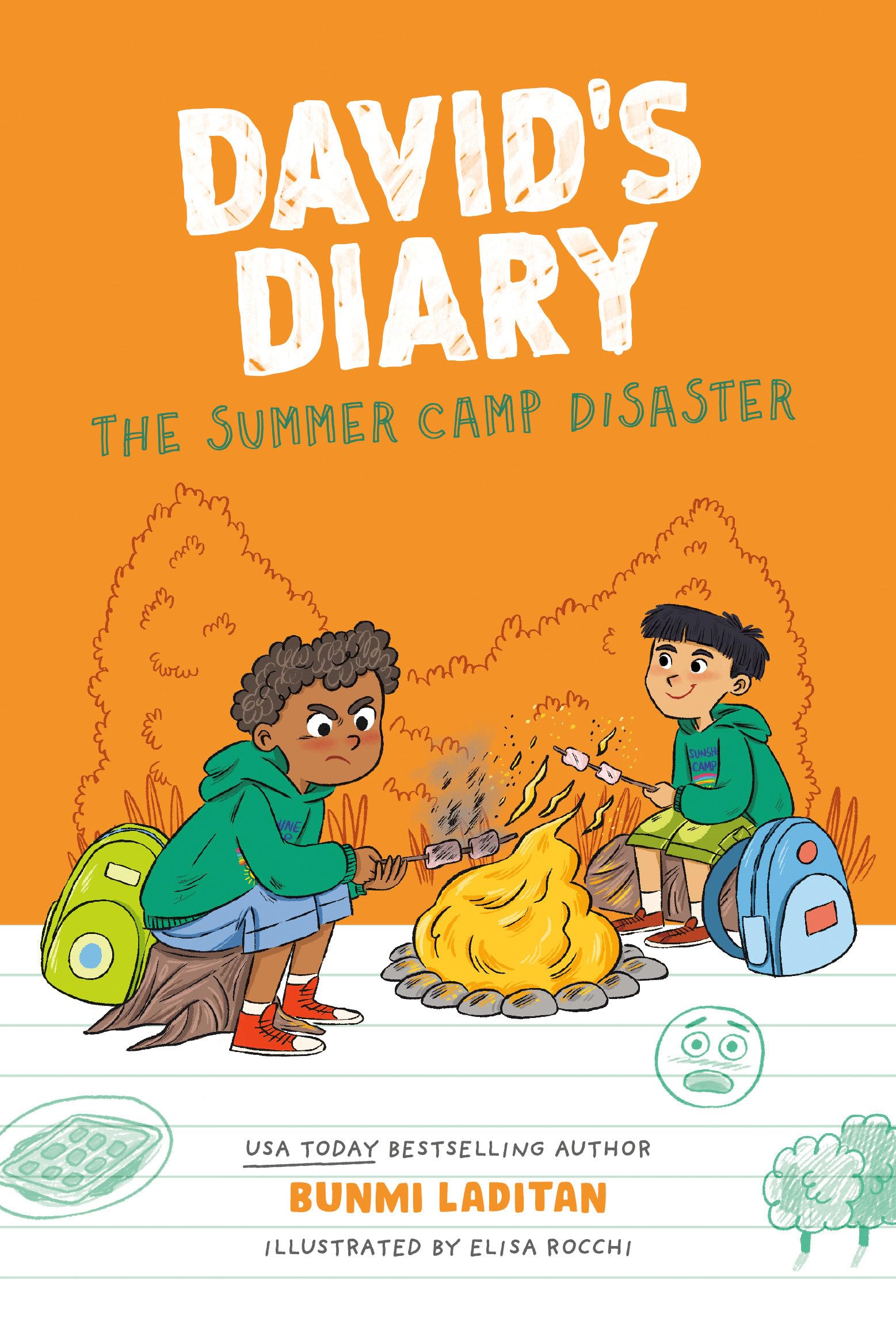 The Summer Camp Disaster: 1 (David's Diary): David's Diary Book 1
