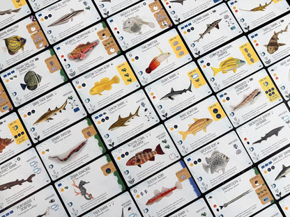 Stonemaier Games | Finspan: Sharks & Reefs | Board Game Expansion | Build a thriving reef with apex predators and unique fish. Expand your ecosystem. 1-5 players | 45-60 mins | Ages 10+