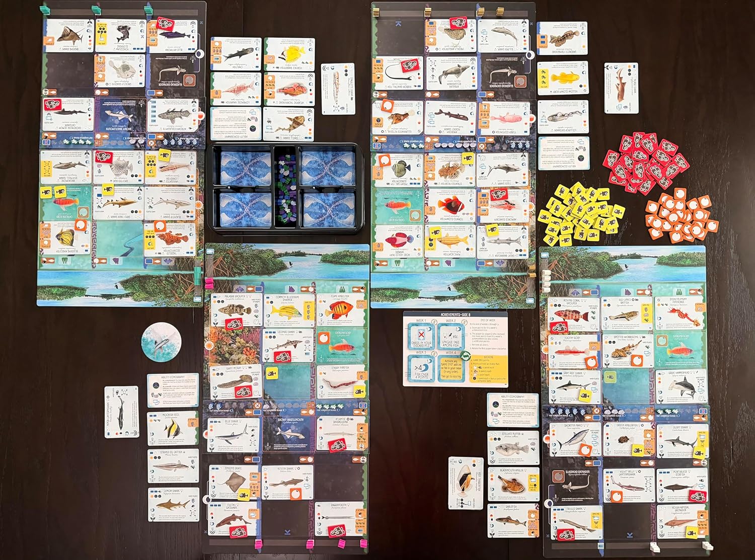 Stonemaier Games | Finspan: Sharks & Reefs | Board Game Expansion | Build a thriving reef with apex predators and unique fish. Expand your ecosystem. 1-5 players | 45-60 mins | Ages 10+