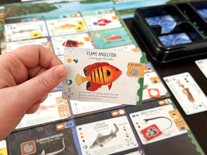 Stonemaier Games | Finspan: Sharks & Reefs | Board Game Expansion | Build a thriving reef with apex predators and unique fish. Expand your ecosystem. 1-5 players | 45-60 mins | Ages 10+