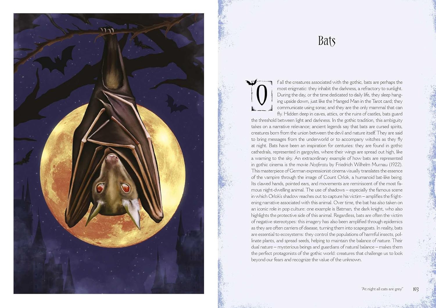 Gothic Witchcraft (VIVIDA