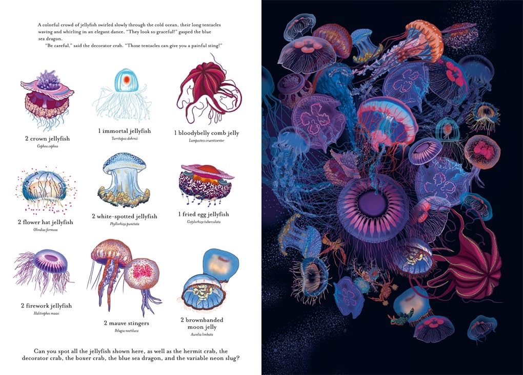 The Incredible 3D Ocean Dive