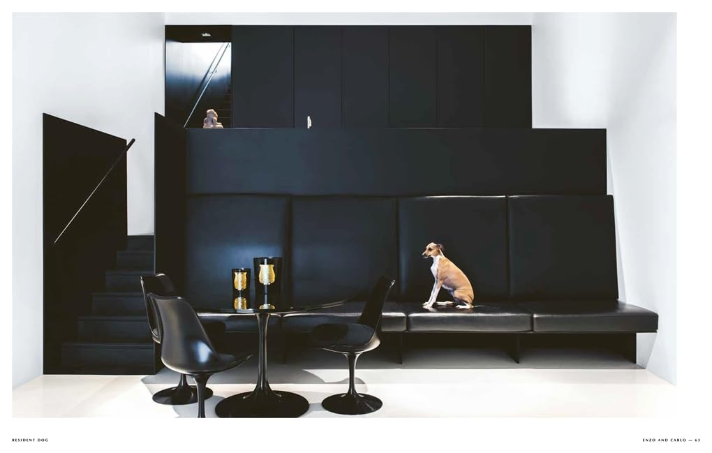 Resident Dog Incredible Homes and the Dogs That Live There /anglais