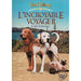 L'Incroyable voyage 2 à San Francisco