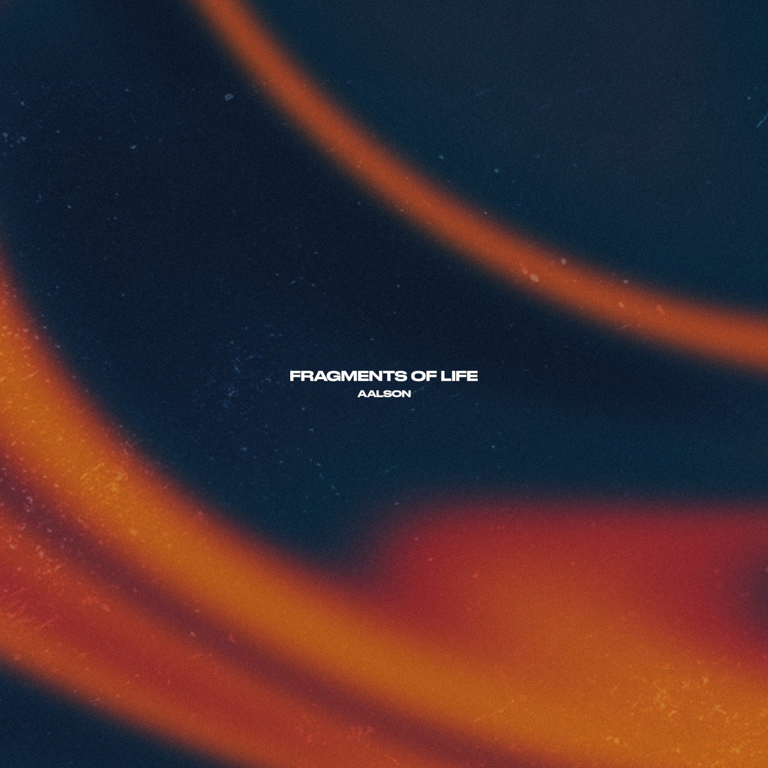 Fragments of Life