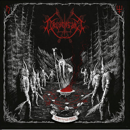 DRUDENSANG - VERBORGENE RITEN
