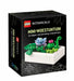 LEGO Botanicals Mini-Woestijntuin