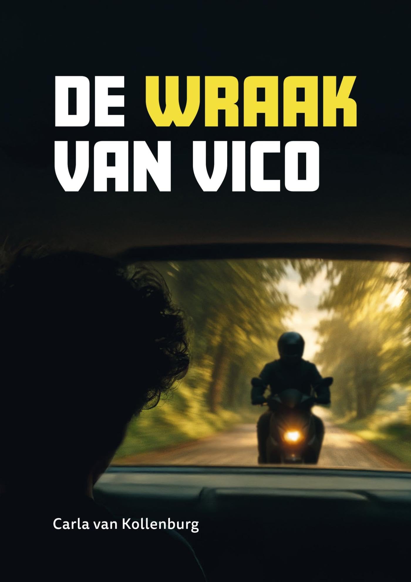De wraak van Vico - AVI E5