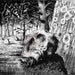 Necropsy: The Complete Demo Recordings 1986-1991