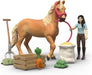 schleich Horse Club | Emily's Pflege Set 42797 | Pferde Spielset mit Pferd, beweglicher Emily Figur und Zubehör | Geschenk für Mädchen und Jungen | Spielzeug ab 5 Jahren | Set aus 15 Teilen