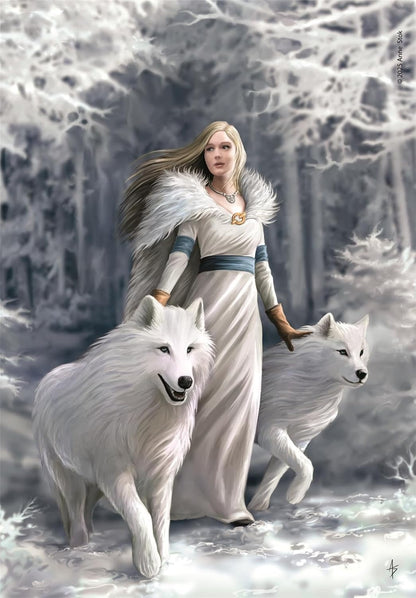 Anne Stokes - Winter Guardians (Compact Box 1000 Stukjes)