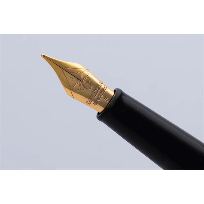 Diplomat Nib Section Traveller stainless steel gold - Fine