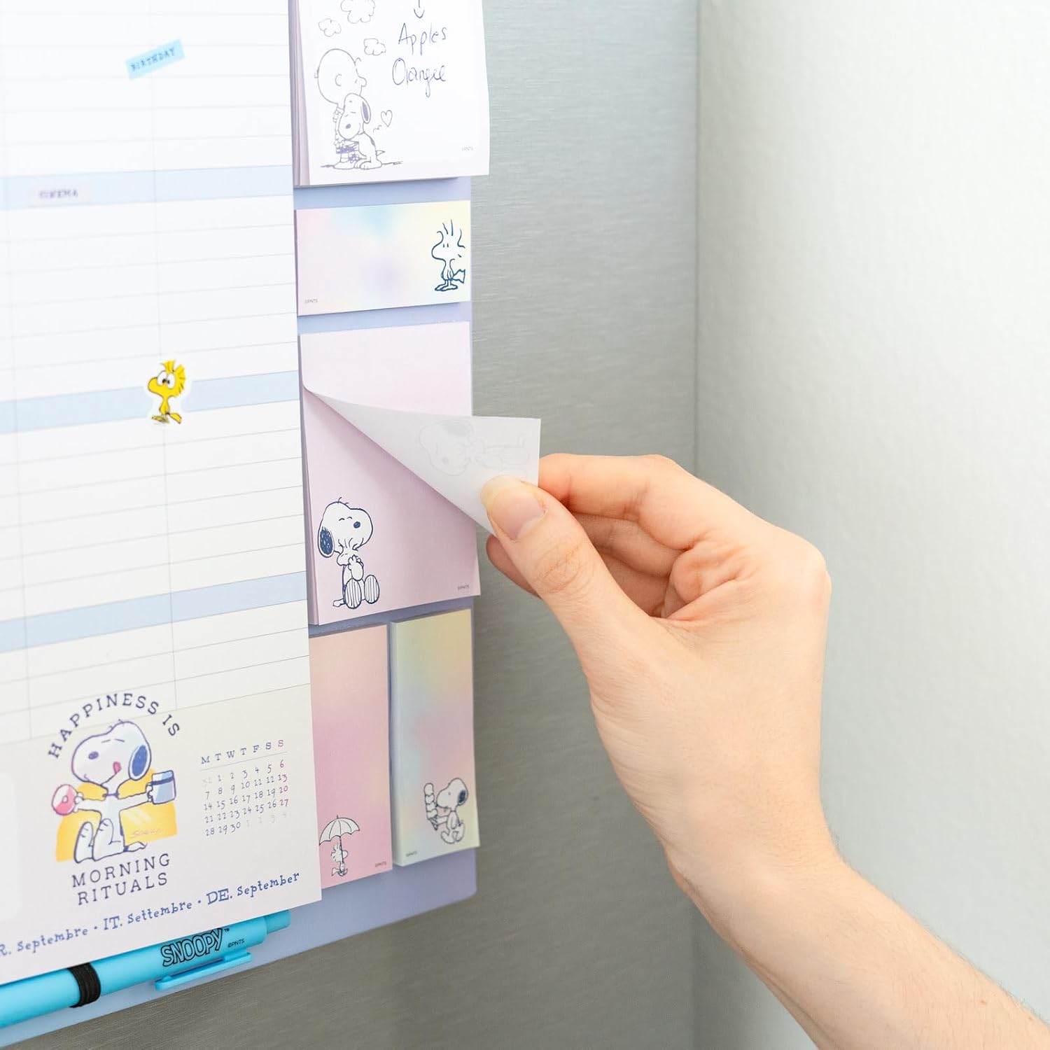 Grupo Erik Calendario Famiglia 2027 Snoopy Peanuts - Calendario Magnetico Frigo con Penna, Sticky Notes, Shopping List e Stickers | Planner Mensile con Spazi per Note, Set 2026 a Dic 2027 (30 x 35cm