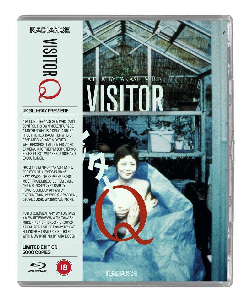 Visitor Q