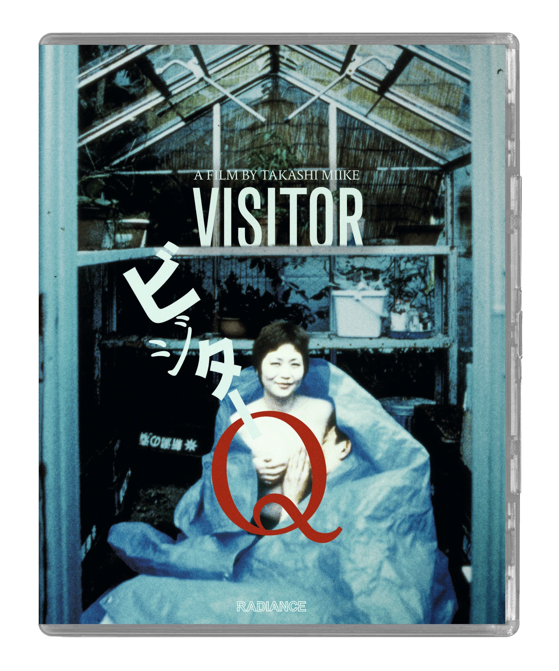 Visitor Q
