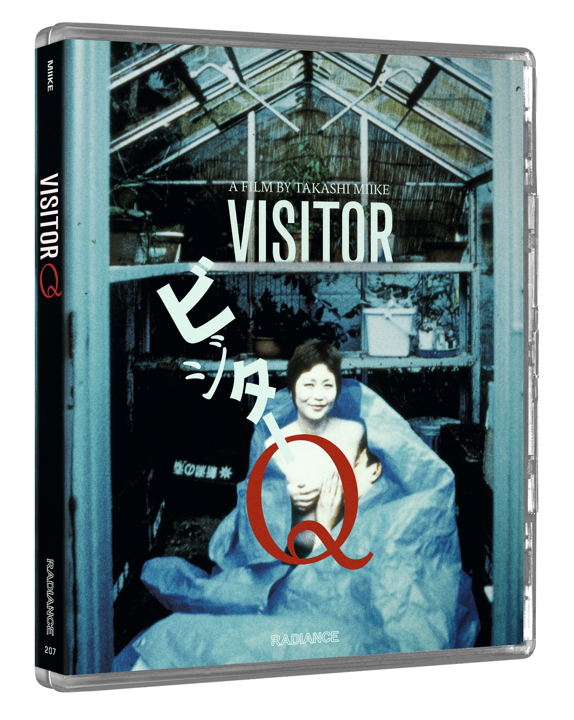 Visitor Q