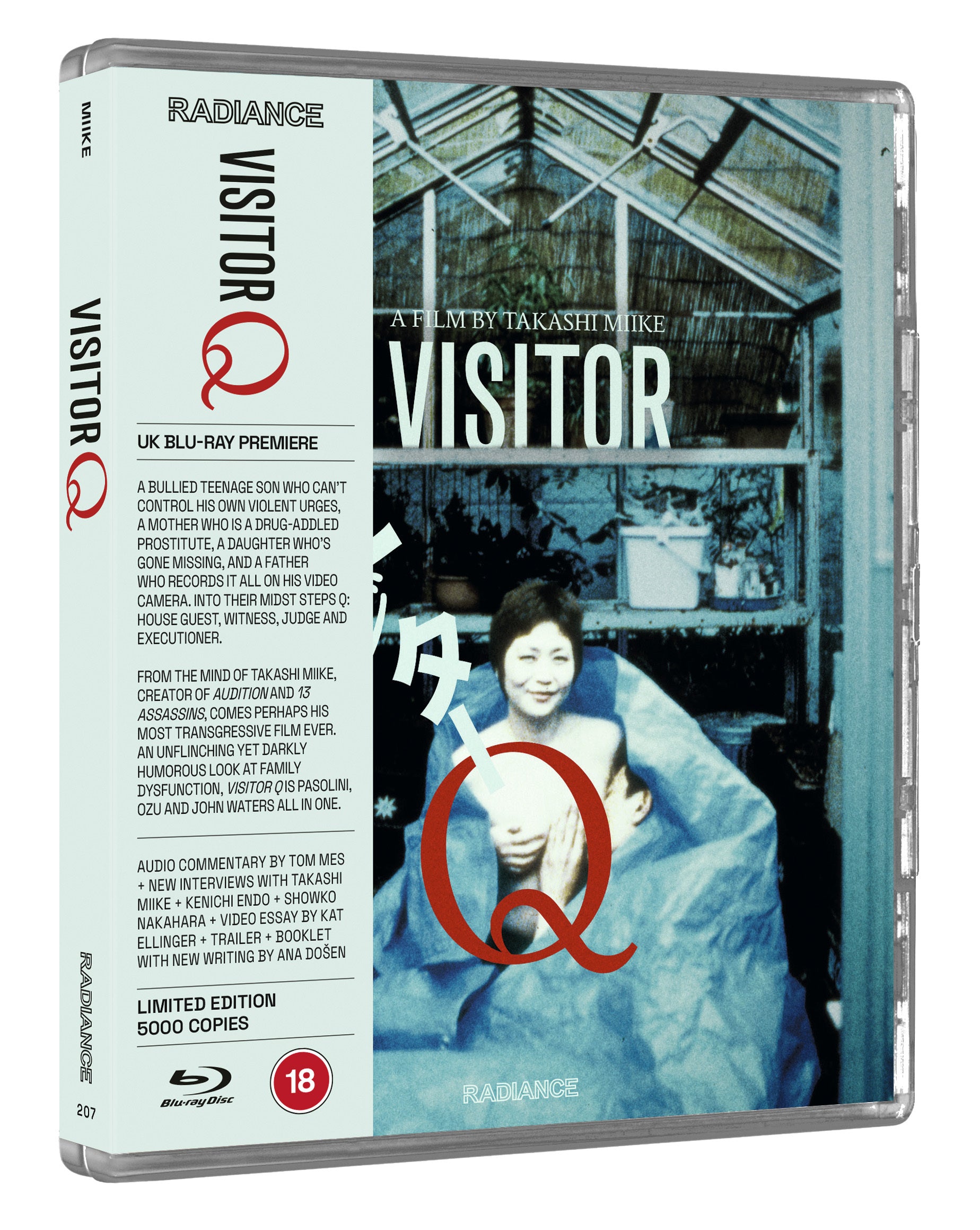 Visitor Q