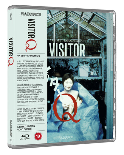 Visitor Q