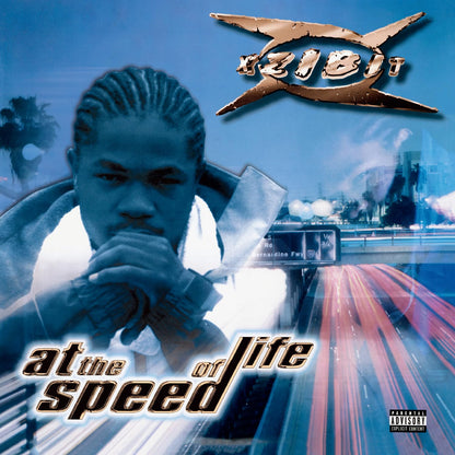 AT THE SPEED OF LIFE (OFGV)