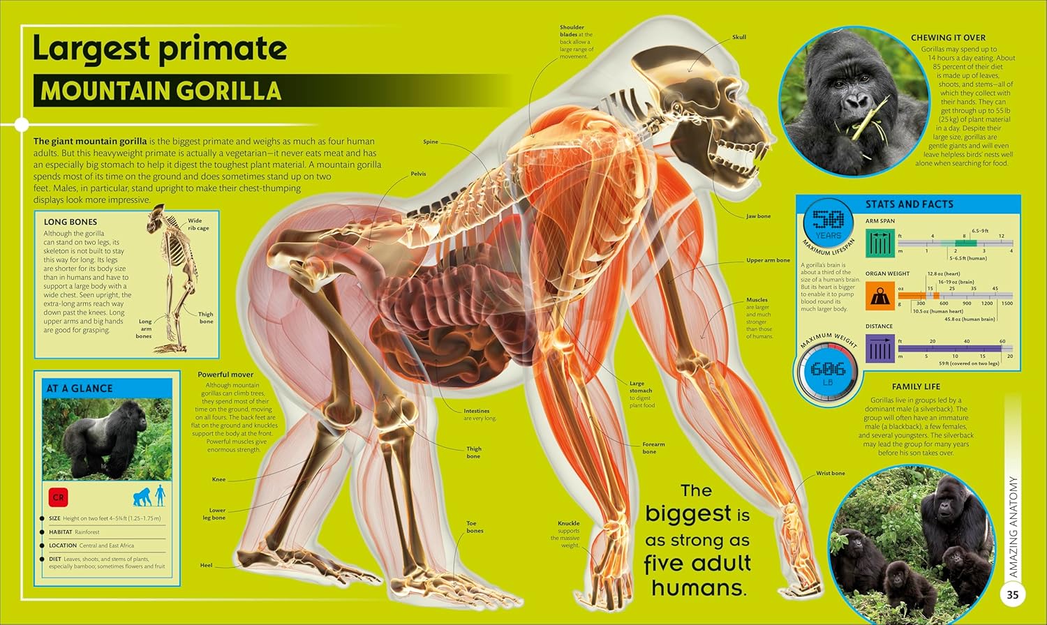 Super Nature Encyclopedia