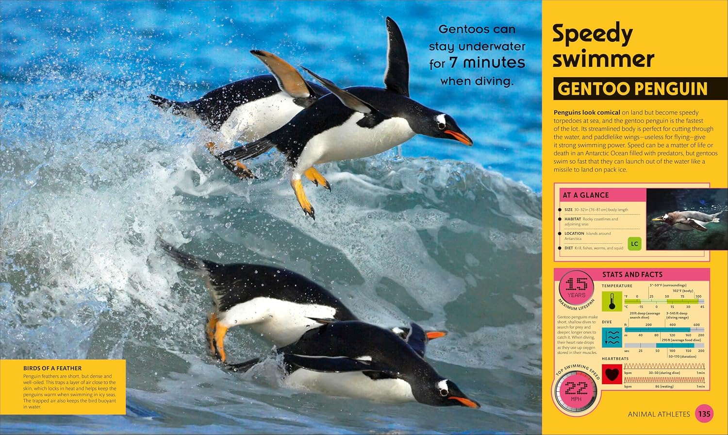 Super Nature Encyclopedia