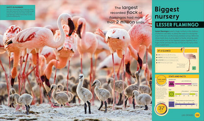 Super Nature Encyclopedia