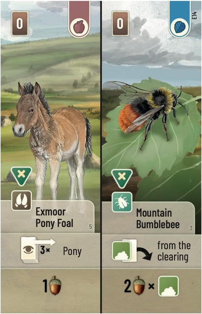Asmodee | Forest Shuffle Dartmoor: Exmoor Expansion | Board Game | Ages 10+ | 2-5 Players | 60 Minutes Playing Time
