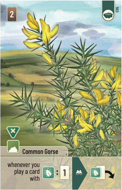 Asmodee | Forest Shuffle Dartmoor: Exmoor Expansion | Board Game | Ages 10+ | 2-5 Players | 60 Minutes Playing Time