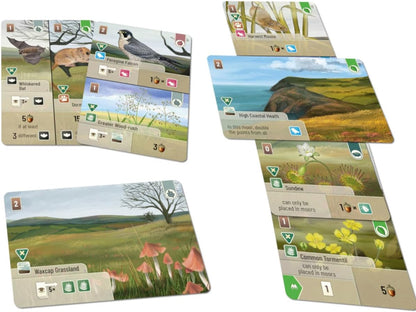 Asmodee | Forest Shuffle Dartmoor: Exmoor Expansion | Board Game | Ages 10+ | 2-5 Players | 60 Minutes Playing Time