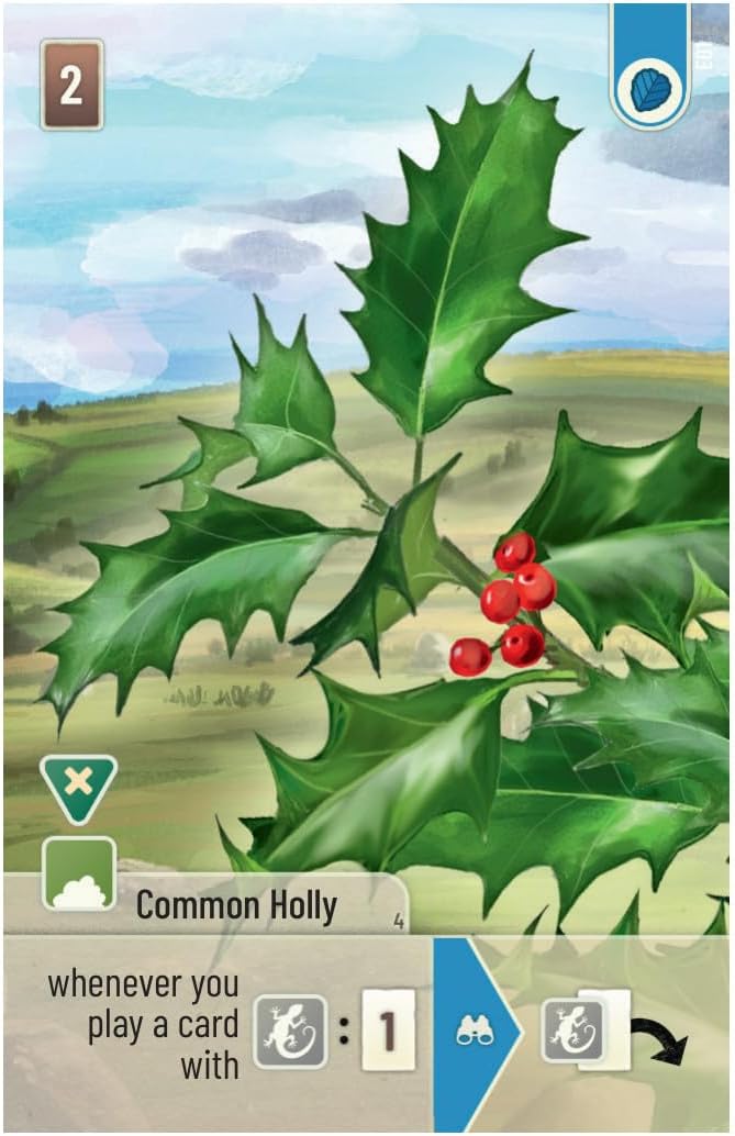 Asmodee | Forest Shuffle Dartmoor: Exmoor Expansion | Board Game | Ages 10+ | 2-5 Players | 60 Minutes Playing Time