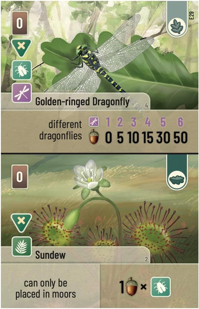 Asmodee | Forest Shuffle Dartmoor: Exmoor Expansion | Board Game | Ages 10+ | 2-5 Players | 60 Minutes Playing Time