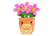 Swizzels Love Hearts 18CM (7-inch) Felicity Flowerpot Blooming Amazing Plush Soft Toy, 38012, Yellow,orange,pink