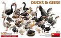 MiniArt - 1/35 Ducks En Geese
