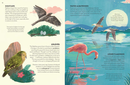 Into the Dark: A new non-fiction illustrated gift book for ages 6+ about nighttime animals