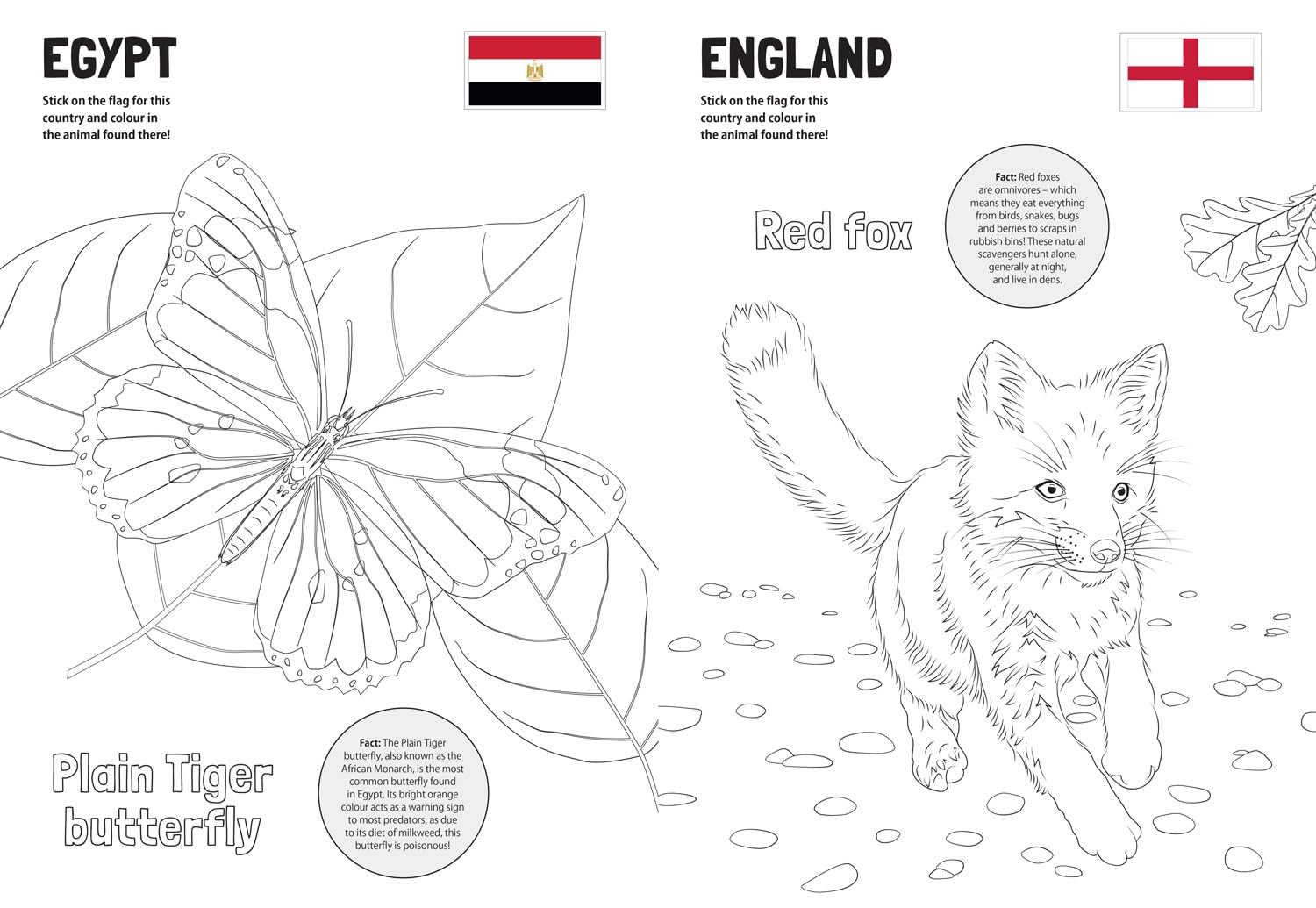 Flag It! Animals Around the World Colouring Book: An animal-themed colouring book with flag stickers and facts