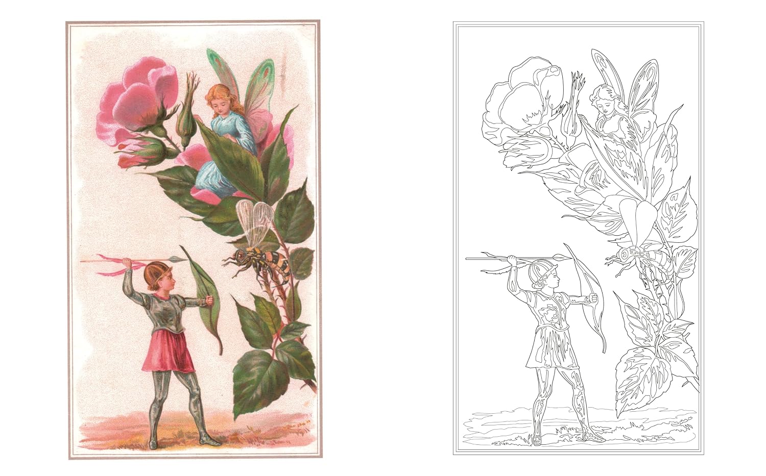 Garden Fairies Colouring Book