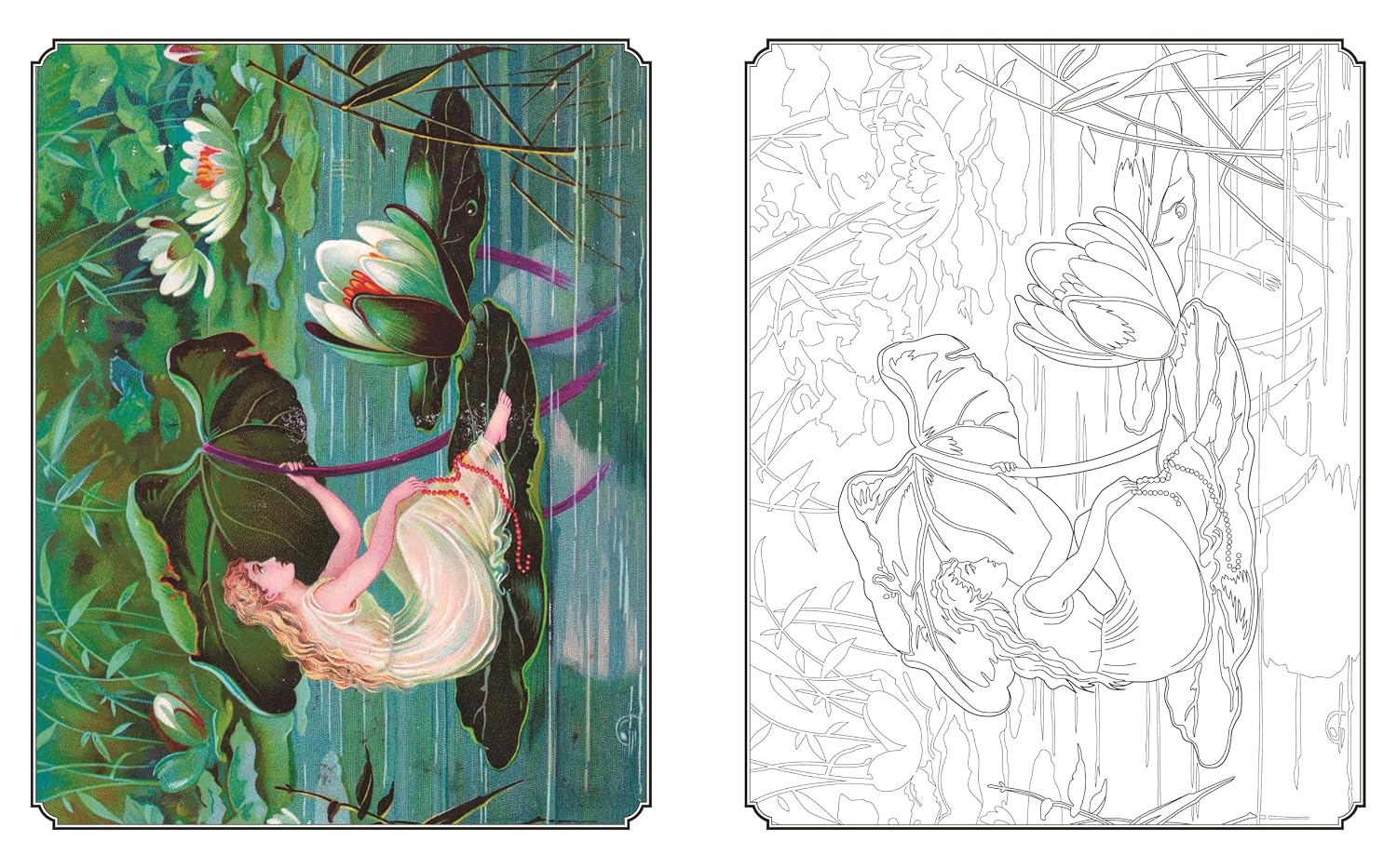 Garden Fairies Colouring Book