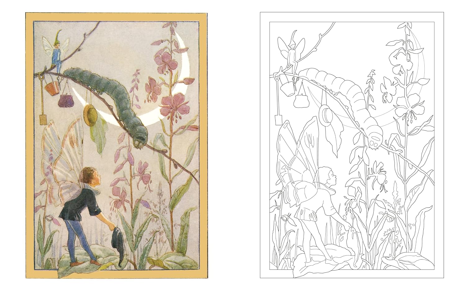Garden Fairies Colouring Book