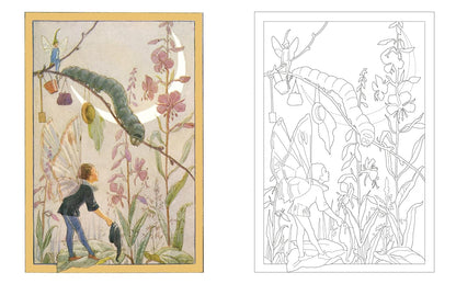 Garden Fairies Colouring Book