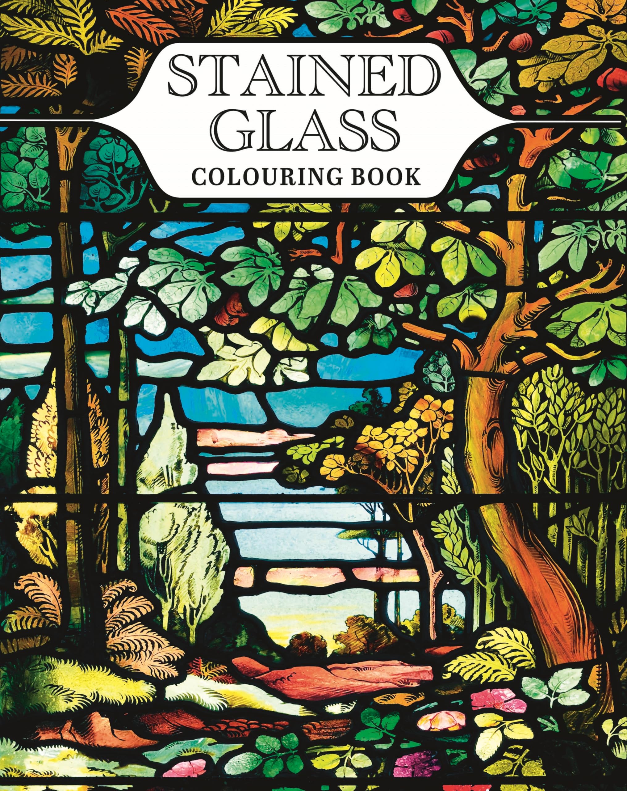 Stained Glass Colouring Book: With 45 Enchanting Designs (Arcturus Creative Colouring