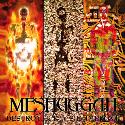 Destroy Erase Improve (30th Annviversary Edition)