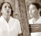 Voci Dalle Toraglie