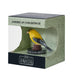 MOJO Bird Enthusiast Collection 1 - Handgeschilderde beeldjes, verzamelobjecten, speelgoed, gedetailleerde sculpturen met QR-code voor leuke weetjes (Amerikaanse goudvink)